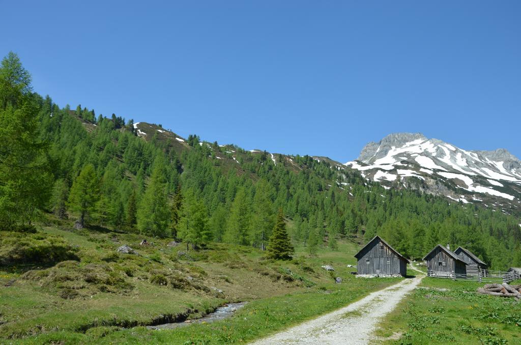 Ferienwohnung Urlaub am Kräutlhof in Mariapfarr Zimmer foto
